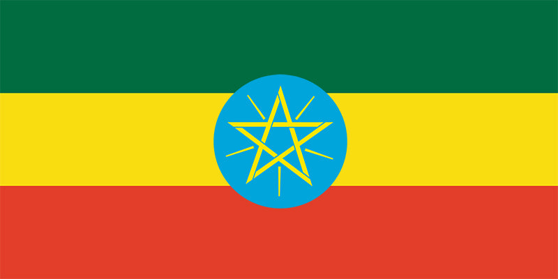 Ethiopia Yigracheffe Gera Anaerobic